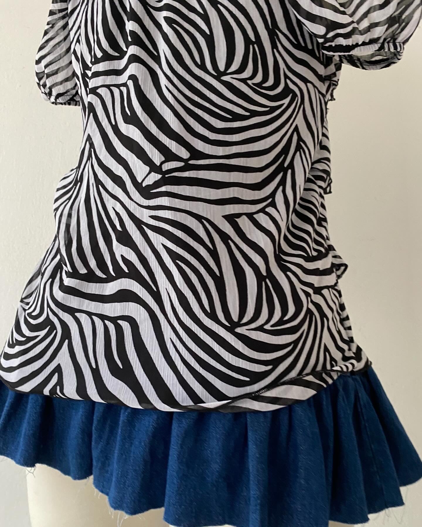 Adorable layered blouse