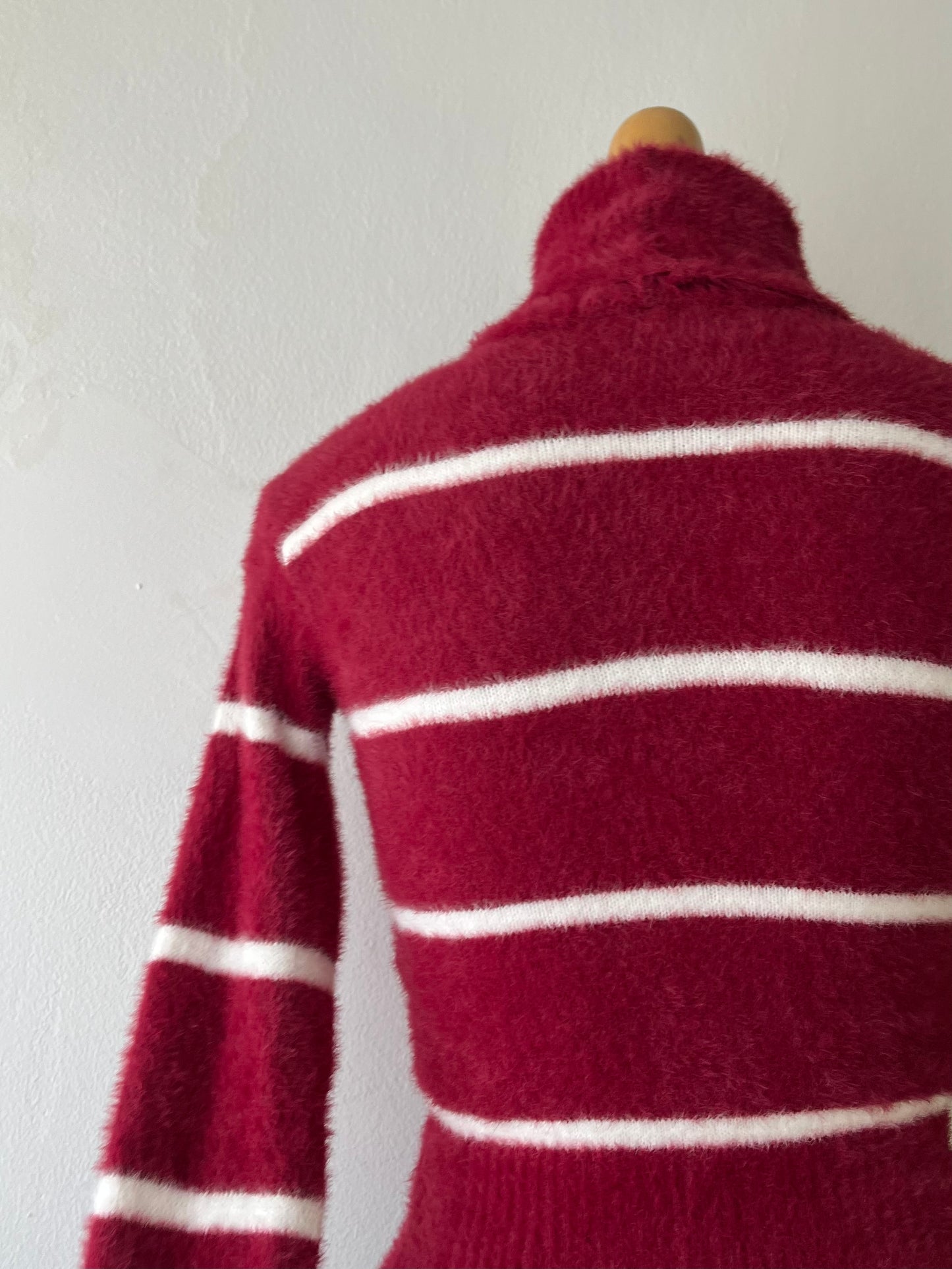 Burgundy striped turtleneck